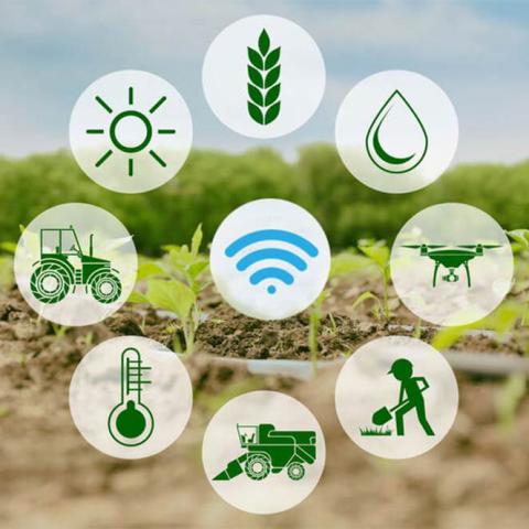 Tổng Giám đốc 1 công ty đầu tư và xây dựng được bình chọn là Nông dân Việt Nam xuất sắc 2021